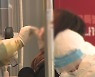 "정점 지나 완만한 감소세"..곳곳이 지뢰밭