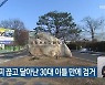 전자발찌 끊고 달아난 30대 이틀 만에 검거