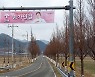 송가인, 고향 진도 밝히는 '송가인길+송가인공원'.."보배섬 감사합니다" [★SHOT!]