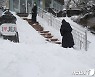 한라산에 14.4cm 눈..태풍급 강풍에 가로수·간판 피해도