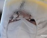 경남 7일 하루 17명 확진..이틀째 20명 아래로(종합2보)