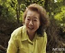 윤여정의 오스카 입성 확률이 점점 높아진다