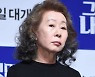 '미나리' 윤여정, 美 영화 협회·시상식 연기상 7관왕 등극