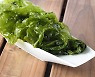 체내 독소 빼주는 '디톡스 식품' 5
