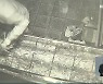 [집중취재]① 광주 금은방 털이, 잡고 보니 현직 경찰