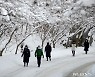 '눈 쌓인 내장산 산책하는 시민들'