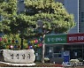 [대구소식]남구, 자동차세 연납 신청 접수 등