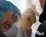 전라남도, '감염병관리과' 신설..감염병 전문가 등 15명 구성