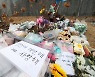 "아동학대 가해자가 오히려 욕설.. 고소 다반사"