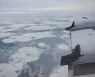 [안녕? 자연] 북극 '마지막 해빙' 지탱하는 아치형 해빙 붕괴 위기