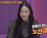 '언니한텐' 낸시랭 "빚 9억 8000만 원, 고정 수입 無" 고충 토로 [종합]