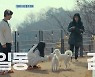 "이제 완벽한 가족만"..조윤희, 유기견 구름 첫 산책에 감격 (어쩌개) [종합]