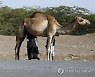 YEMEN DAILY LIFE
