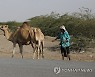 YEMEN DAILY LIFE