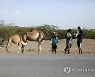YEMEN DAILY LIFE