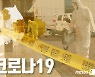 당진 2명 추가 확진..당진 168번 가족