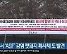 영월서 'ASF' 감염 멧돼지 폐사체 또 발견