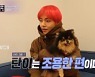 BTS 뷔 반려견 탄이, 스타의 반려동물 10위 (연중라이브)