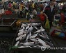 CAMBODIA FISHERY EXPORT
