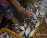 CAMBODIA FISHERY EXPORT