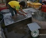 CAMBODIA FISHERY EXPORT