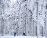 Germany Biathlon World Cup