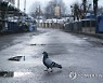 Virus Outbreak Ukraine