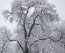Virus Outbreak Lithuania Weather