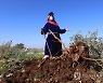 MIDEAST ISRAEL PALESTINIANS
