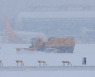 '북극발 한파·폭설'에 제주공항 결항·지연운항 이어져