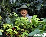 [귀거래사] 대나무 고장 담양, 그윽한 커피향으로 물들다