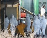 달걀 한 판 6000원 돌파..2017년 9월 이후 최고가