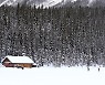 [한 컷 세계여행] 겨울날의 로키, 에메랄드빛보다 매혹적인 흑백 세상
