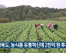경북도, 농식품 유통혁신에 2천억 원 투자