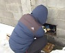 대설·한파 영향으로 제주 곳곳 피해 잇따라