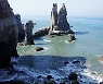[속보]군 "백령도 남방 해상서 고속함 승조원 실종..수색 중"