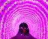 [Eye Plus] Gapyeong's garden of fantastic lights
