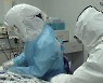 미 FDA "변이 바이러스, 음성으로 잘못 판정될 수"