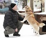 2만년 전 빙하기 때 인간이 남긴 살코기, 늑대를 개로 바꿨다?