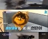 '연중 라이브' 방탄소년단 뷔, 반려견 '연탄'의 환상 케미