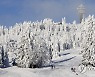 epaselect GERMANY WEATHER FELDBERG MOUNTAIN