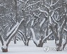 RUSSIA WEATHER