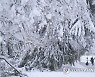 BELGIUM WEATHER SNOW