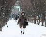 [오늘의 날씨]대전·충남(10일, 일).. 강추위에 1~5cm 눈