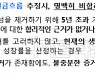 '코로나19 자산손상' 기준 명확하면 '회계오류' 지적하지 않기로