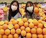 오렌지가 롯데마트로 찾아왔다