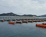 전남도, 해상 양식장 동해 피해 특보 발령