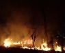 부산 배산 3부 능선서 산불