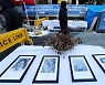 Japan considers bringing comfort women case before International Court of Justice