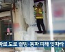 대구·경북, 한파로 도로 결빙·동파 피해 잇따라